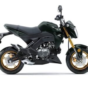 2025 Kawasaki Z125 PRO